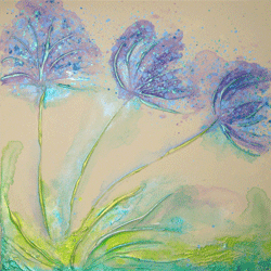 African Lilly