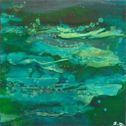 Dolphins 2